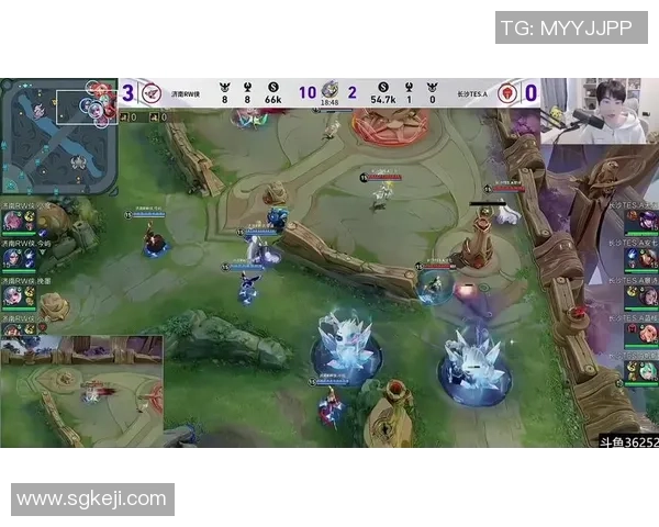 王者荣耀战队TES的快速崛起与战术创新深度分析